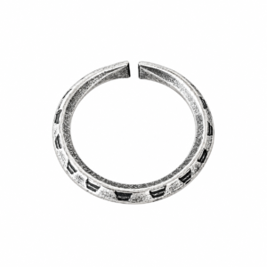 Anillo Petro