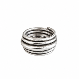 Anillo Leon